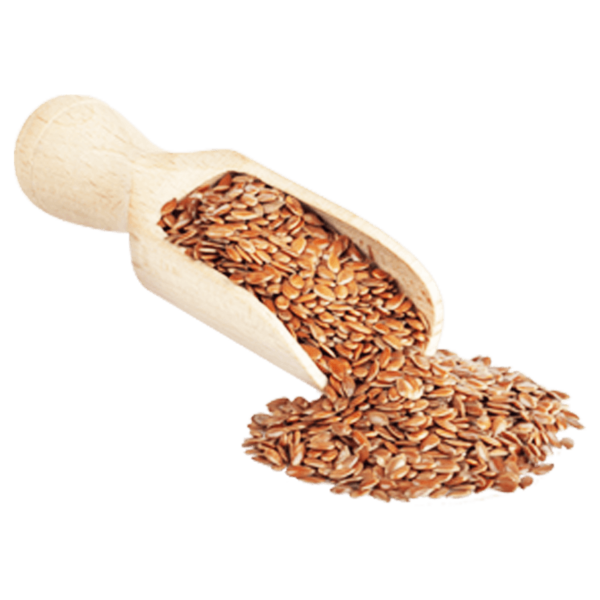 Graine de lin BIO, ELBIO