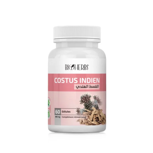 Costus Indien القسط الهندي, BIOHERBS