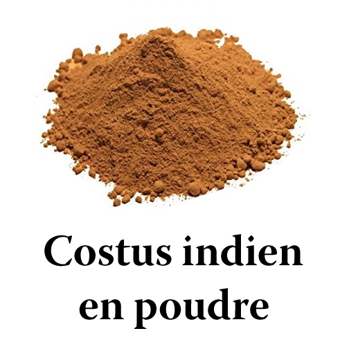 Poudre de costus indien 100g, TUNISIE BIO