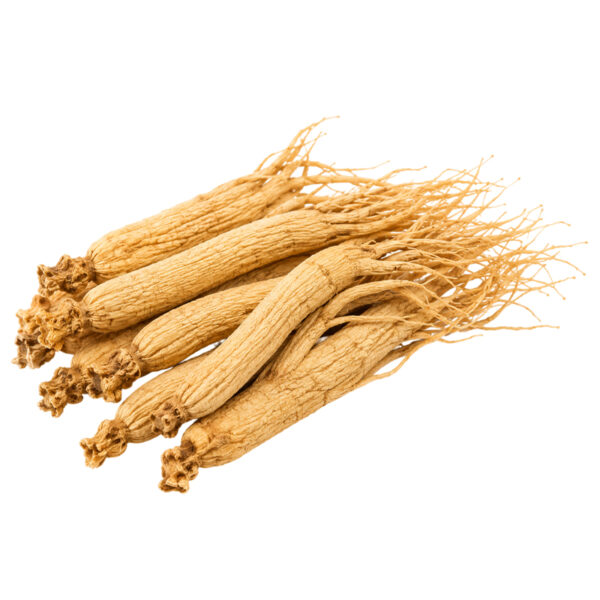 Racine de ginseng 50G, TUNISIE BIO
