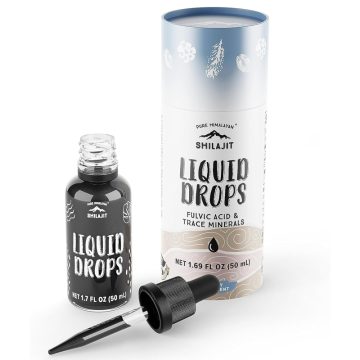 bienfaits du Shilajit
